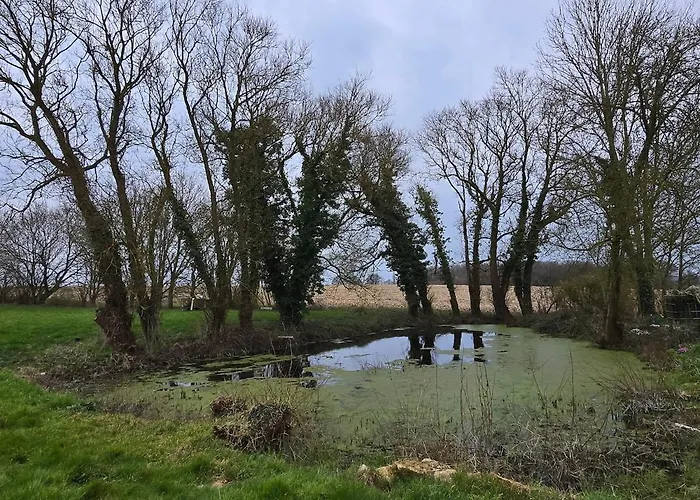 Hébergement de vacances Longère Au Calme à 5 Min De Mortagne-au-perche *